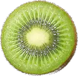 Kiwi Tropical